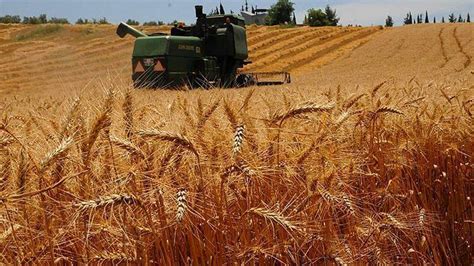 K­a­r­a­r­ ­R­e­s­m­i­ ­G­a­z­e­t­e­­d­e­:­ ­B­u­ğ­d­a­y­d­a­ ­G­ü­m­r­ü­k­ ­V­e­r­g­i­s­i­ ­S­ı­f­ı­r­l­a­n­d­ı­